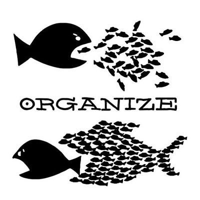 organize3